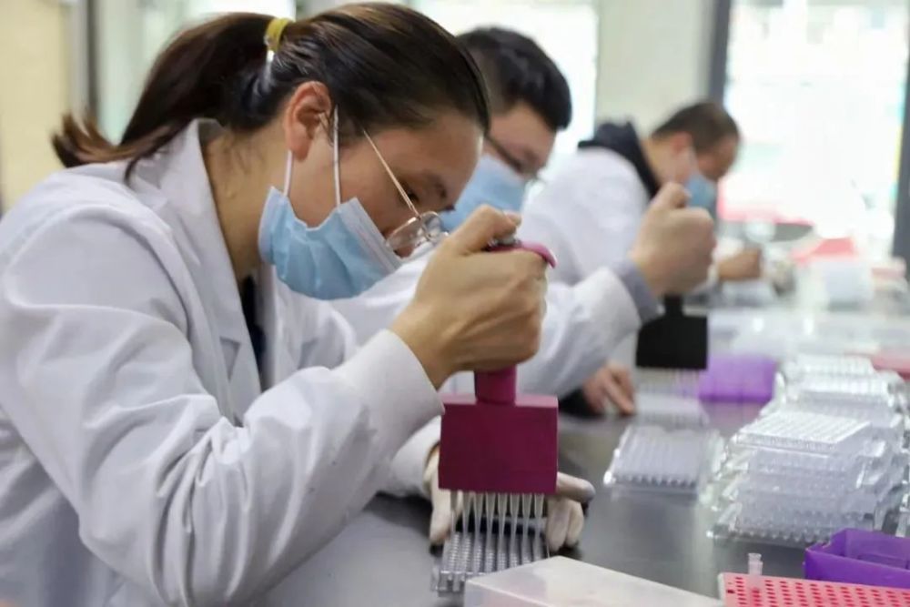  热那亚保级形势严峻，客场不敌亚特兰大雪上加霜